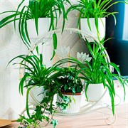 Подставка под цветы на подоконник на 8 горшков белая металл 41-016W - фото 63073