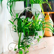 Подставка под цветы на подоконник на 8 горшков белая металл 41-016W - фото 63074