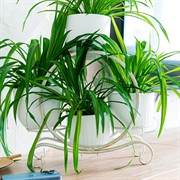 Подставка под цветы на подоконник на 8 горшков белая металл 41-016W - фото 63075