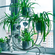 Подставка под цветы на подоконник на 8 горшков белая металл 41-016W - фото 63077