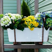 Подставка для балконного ящика универсальная кованая 51-266 - фото 63259