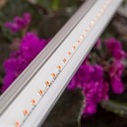 Светильник для растений ЭРА ФИТО LED 9Вт длина 57см - фото 63301