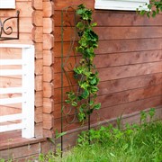 Шпалера для вьющихся растений Бабочки высота 150см 57-011 - фото 63466