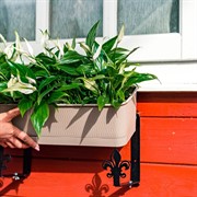 Кронштейнов для балконных ящиков раздвижные 2шт Лилии металл 203-012B - фото 63524