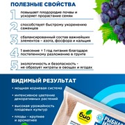 Удобрение БИО-комплекс Рыбная мука 1кг - фото 63622