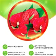 Удобрение БИО-комплекс Биококтейль для антуриума 250мл ТМ HAPPY - фото 63647