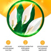 Удобрение БИО-комплекс Биококтейль для спатифиллума 250мл ТМ HAPPY - фото 63651