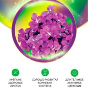 Удобрение БИО-комплекс Биококтейль для фиалки 250мл ТМ HAPPY - фото 63659