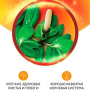 Удобрение БИО-комплекс Биококтейль для замиокулькаса 250мл ТМ HAPPY - фото 63662