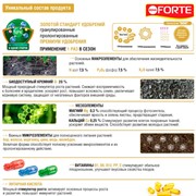 Удобрение БОНА ФОРТЕ Турбо универсальное с кремнием 3л ведро - фото 63760