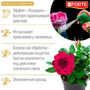 БОНА ФОРТЕ аэрозоль от насекомых 300мл - фото 63778