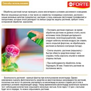 БОНА ФОРТЕ аэрозоль от насекомых 300мл - фото 63779