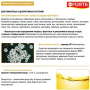 БОНА ФОРТЕ аэрозоль от насекомых 300мл - фото 63780