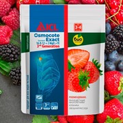 Удобрение Осмокот Экзакт Стандарт 3-4 мес 100г - фото 63792