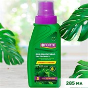 Удобрение БОНА ФОРТЕ для декоративно-лиственных 285мл здоровье - фото 63832