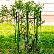 Опора для садовых растений металл 58-923Gr - фото 63836