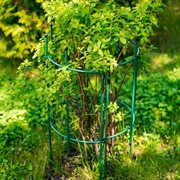 Опора для садовых растений металл 58-923Gr - фото 63837