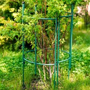 Опора для садовых растений металл 58-923Gr - фото 63838