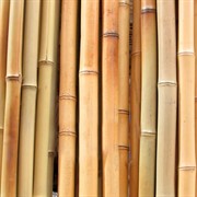 Жердь бамбуковая 105см - фото 63845