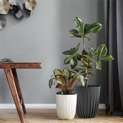 Горшок Сигма 18л антрацит с вкладкой - фото 63857