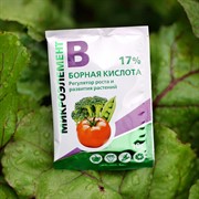 Борная кислота 10г БиоМастер (200) - фото 63951