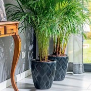 Кашпо Флоу антрацит 29х32 15,5л с вкладышем 5,5л - фото 63962