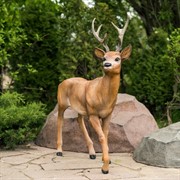 Фигура садовая Косуля стоит высота 98 см стекопластик U09005 - фото 63989 Фигура садовая Косуля стоит высота 98 см стекопластик U09005 - фото 63989