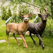 Фигура садовая Косуля стоит высота 98 см стекопластик U09005 - фото 63991 Фигура садовая Косуля стоит высота 98 см стекопластик U09005 - фото 63991