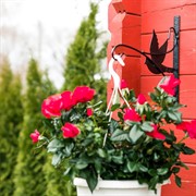 Кронштейн настенный Голубь для цветочного горшка длина 30см металл 201-006B - фото 64005