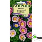 Вьюнок Трехцветный Кан-Кан смесь 0,5гр - фото 64050