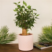 Горшок Грань 1,9л розовый цилиндр №2 - фото 64288