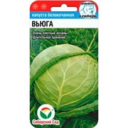 Капуста Б/К Вьюга 0,3г - фото 64365