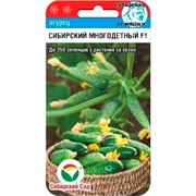 Огурец Сибирский многодетный F1 7шт - фото 64414