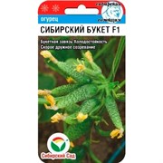 Огурец Сибирский букет 7шт - фото 64417