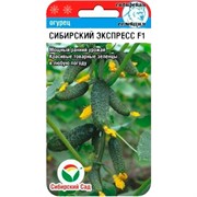Огурец Сибирский Экспресс 7шт - фото 64418