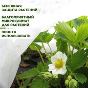 Укрывной материал СУФ-40 ширина 3,2м длина 10м - фото 64846