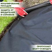 Укрывной материал СУФ-60 ширина 3,2 м длина 10 м черный - фото 64854