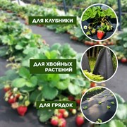 Укрывной материал СУФ-60 ширина 3,2 м длина 10 м черный - фото 64855