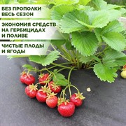 Укрывной материал СУФ-60 ширина 3,2 м длина 10 м черный - фото 64856