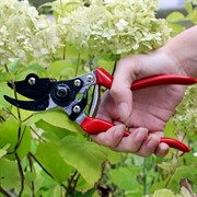 Секатор Аллигатор 200мм с зажимным устройством - фото 64864