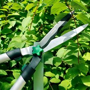 Ножницы для живой изгороди Гронс P101 - фото 64869