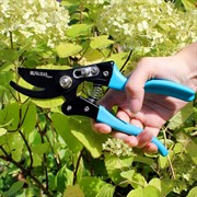 Секатор Палисад прямой рез 220мм - фото 64877