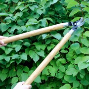 Сучкорез Палисад прямого реза 640мм с загнутыми лезвиями - фото 64880