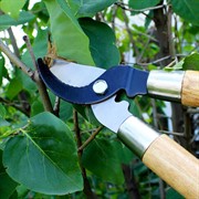 Сучкорез Палисад прямого реза 640мм с загнутыми лезвиями - фото 64882