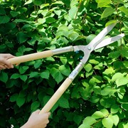 Кусторез Сибртех бордюрный 650мм с деревянными ручками - фото 64883