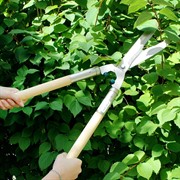 Кусторез Сибртех бордюрный 650мм с деревянными ручками - фото 64884