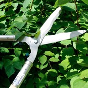 Кусторез Сибртех бордюрный 650мм с деревянными ручками - фото 64885