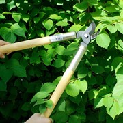 Сучкорез Сибртех кустарниковый 500мм из среднеуглеродистой стали - фото 64886