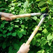 Сучкорез Сибртех кустарниковый 500мм из среднеуглеродистой стали - фото 64887