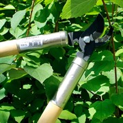 Сучкорез Сибртех кустарниковый 500мм из среднеуглеродистой стали - фото 64888